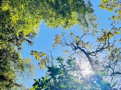 -杭州半山国家森林公园