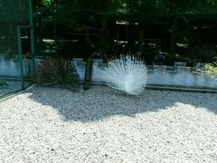 -南京金牛湖风景区