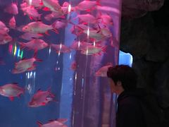 -蓬莱欧乐堡海洋极地世界