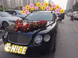 点击看大图 -蚂蚁婚车
