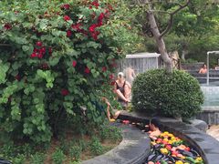 -金石唐风国际温泉会馆