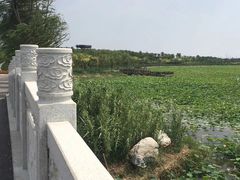 -天津东丽湖风景区