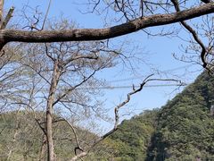 -丹山赤水风景名胜区