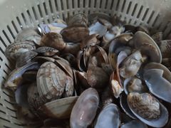 -盒马鲜生(莱蒙都会店)
