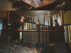 -有家生煎(三里屯店)