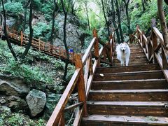 -大岭沟猕猴桃谷风景区