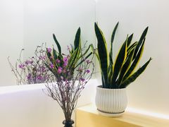 -铁手珈琲制造局metalhands(望京店)