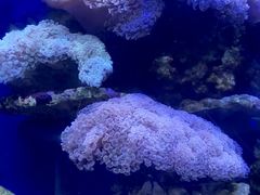 -江和美海洋公园