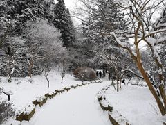 -庐山风景区花径公园