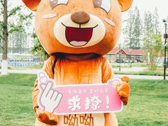 -黄海国家森林公园