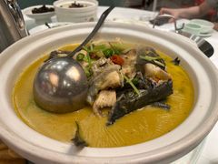 -饭怕鱼·黄焖鲟龙鱼(湖大店)