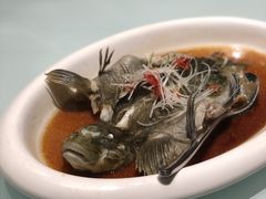 -新海渔港·胶东海鲜家常菜·家宴(奥体中心店)