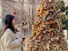 -腾爱熊猫咖啡生活馆(老东门店)