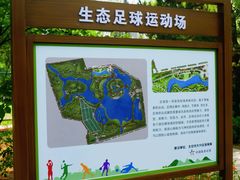 -大兴滨河森林公园