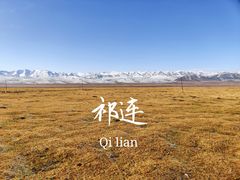 -祁连山草原