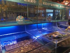 -喜庭海鲜自助(来福士店)