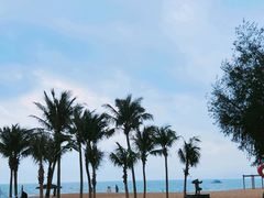 -玫瑰海岸文化旅游度假区