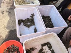 -团泊镇示范集贸市场