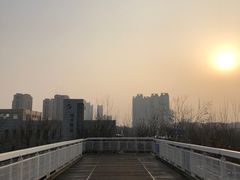 -天津东丽湖风景区