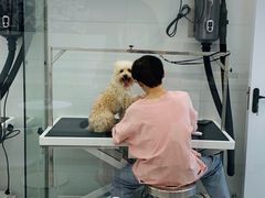 -comecome来吧宠物(奥克斯中心店)