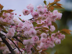 -贵阳市花溪国家城市湿地公园
