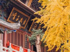 -宝通禅寺