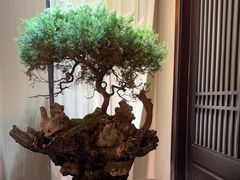 -忆江南·临江鱼馆