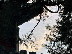 -颐和园