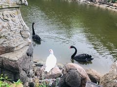 -芭东小镇温泉