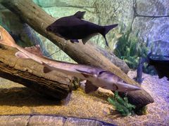 -沈阳海洋探索中心