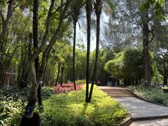 -晓港公园