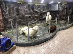 -上海大自然野生昆虫馆(东方明珠·爬宠昆虫探索中心)