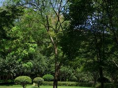 -杭州城北体育公园