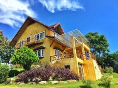 -黄色小屋