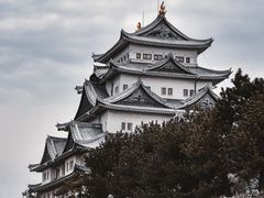 -名古屋城