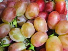 -百果园PAGODA(应元路店)