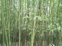 -龙门崮风景区