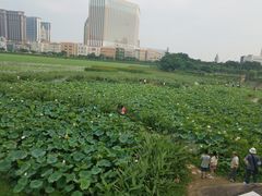 -龙环葡韵住宅式博物馆