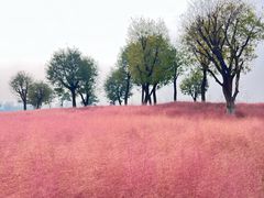 -汉长安城未央宫国家考古遗址公园