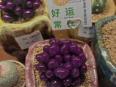 -瑞虹新天地月亮湾