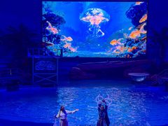 -海合安武汉极地海洋公园