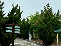 -养马岛旅游度假区