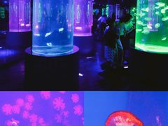 -南昌海洋公园
