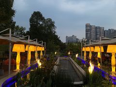 -桂溪生态公园