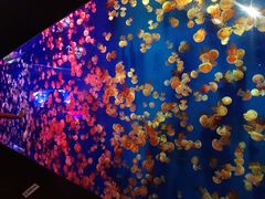 游乐设施-成都浩海立方海洋公园