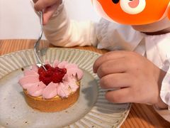 -猫里有甜