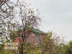-华农酸奶文化馆
