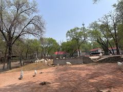 -秦皇岛野生动物园
