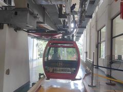 -栾川竹海野生动物园