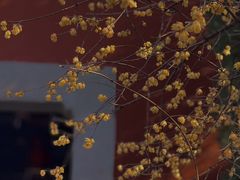 -钱王祠